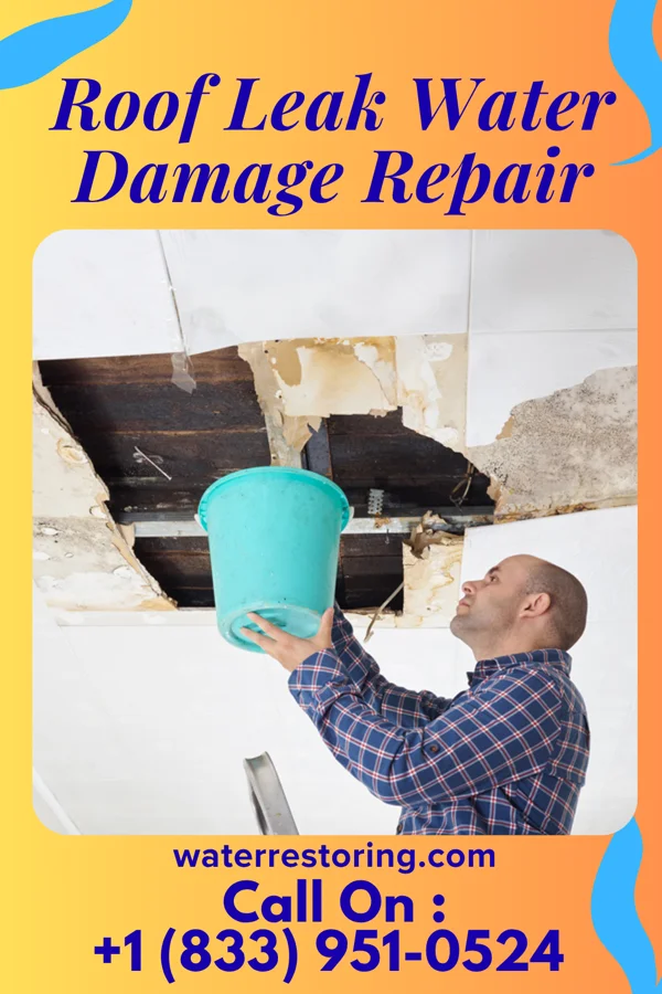 Roof Leak Water Damage Repair in West Bend, WI