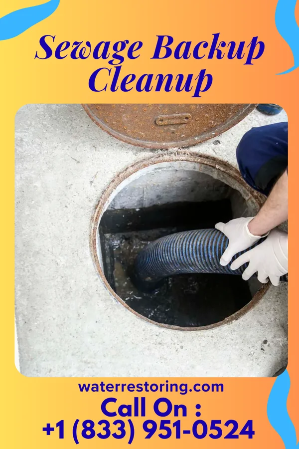 Sewage Backup Cleanup in West Bend, WI