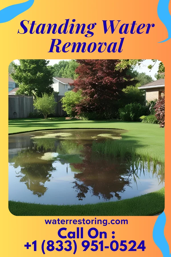 Standing Water Removal in West Bend, WI